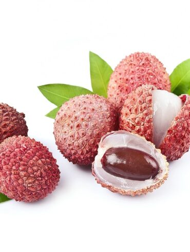 Guide pour cultiver un noyau de litchi