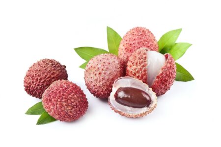 Guide pour cultiver un noyau de litchi