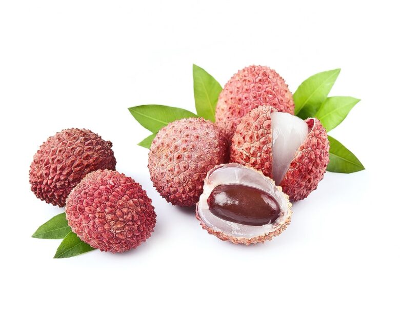 Guide pour cultiver un noyau de litchi