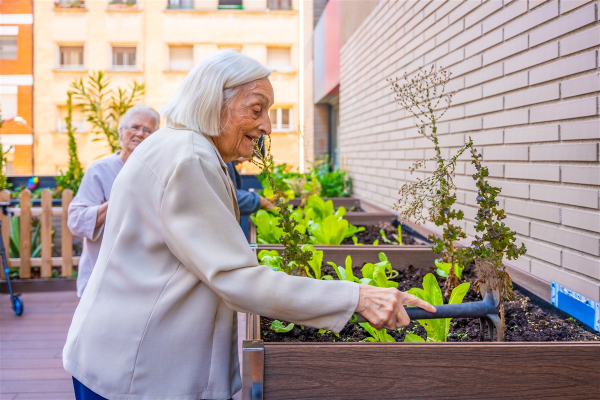 astuces pour protéger les jardins urbains