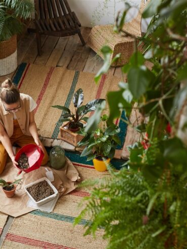 oranger du Mexique dans les jardins urbains