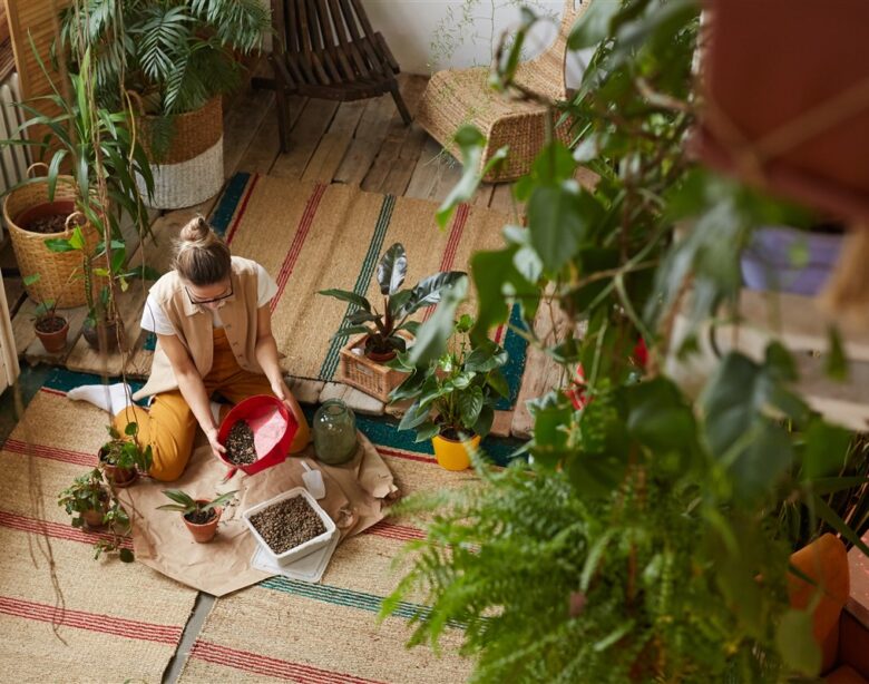 oranger du Mexique dans les jardins urbains