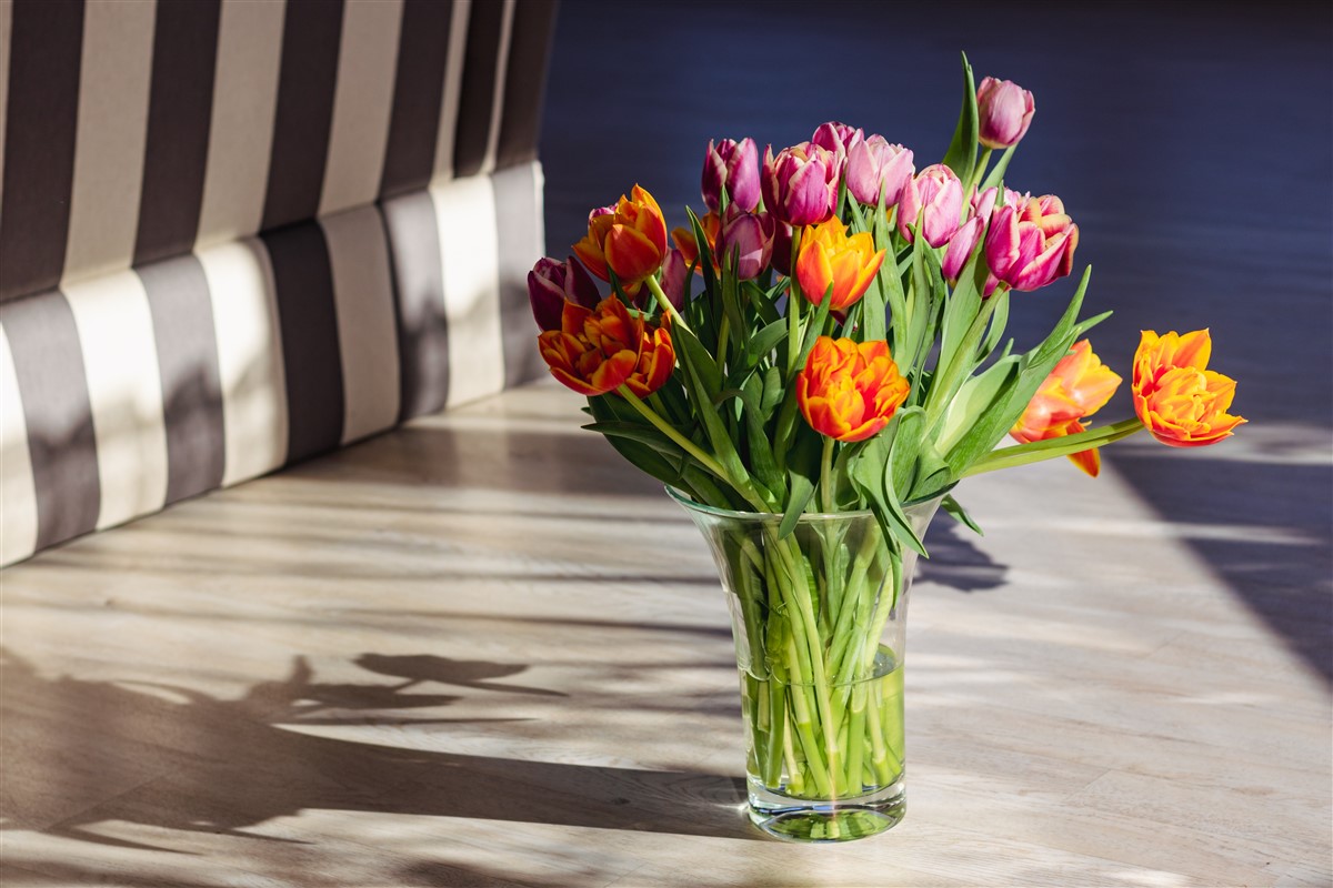 vases au design unique