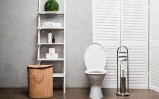 peindre des toilettes