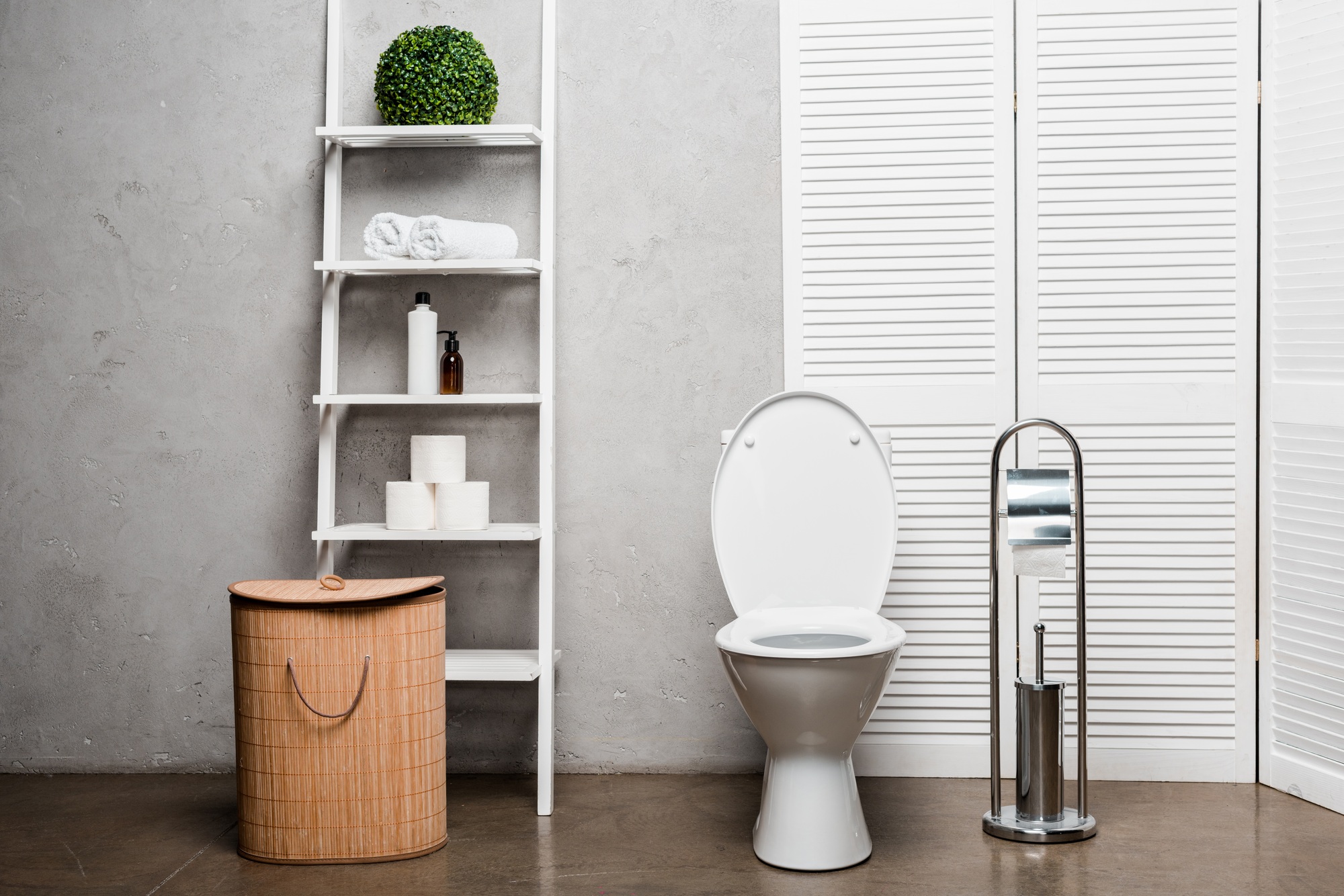 peindre des toilettes