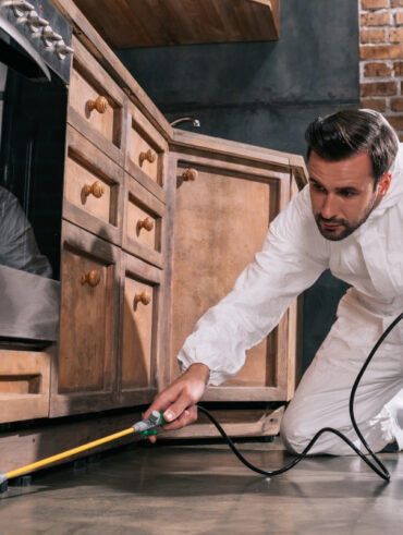 débarrasser des nuisibles