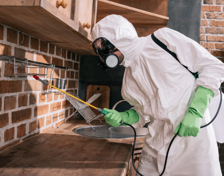 logement et nuisibles