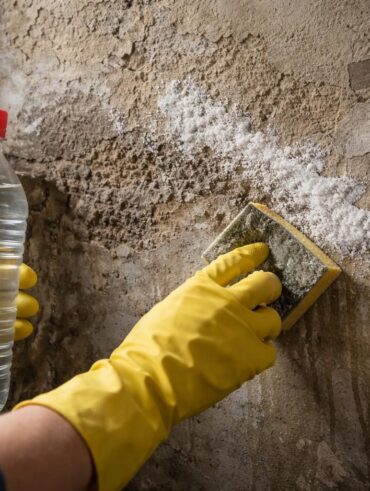 découvrez comment utiliser le vinaigre blanc pour éliminer efficacement le salpêtre de vos murs. une méthode simple, naturelle et économique pour assainir votre habitat.